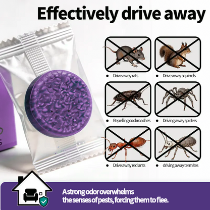 Odorless insect repellent—it repels!!! It doesn't kill !!!🐭